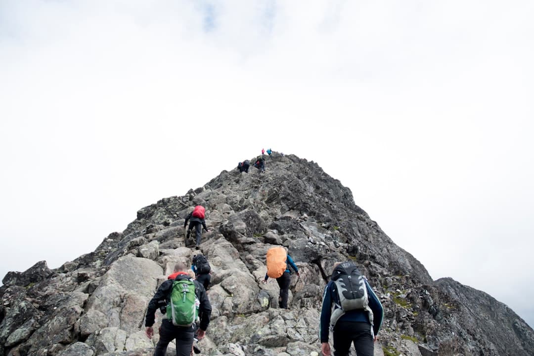 alpine-guide-2