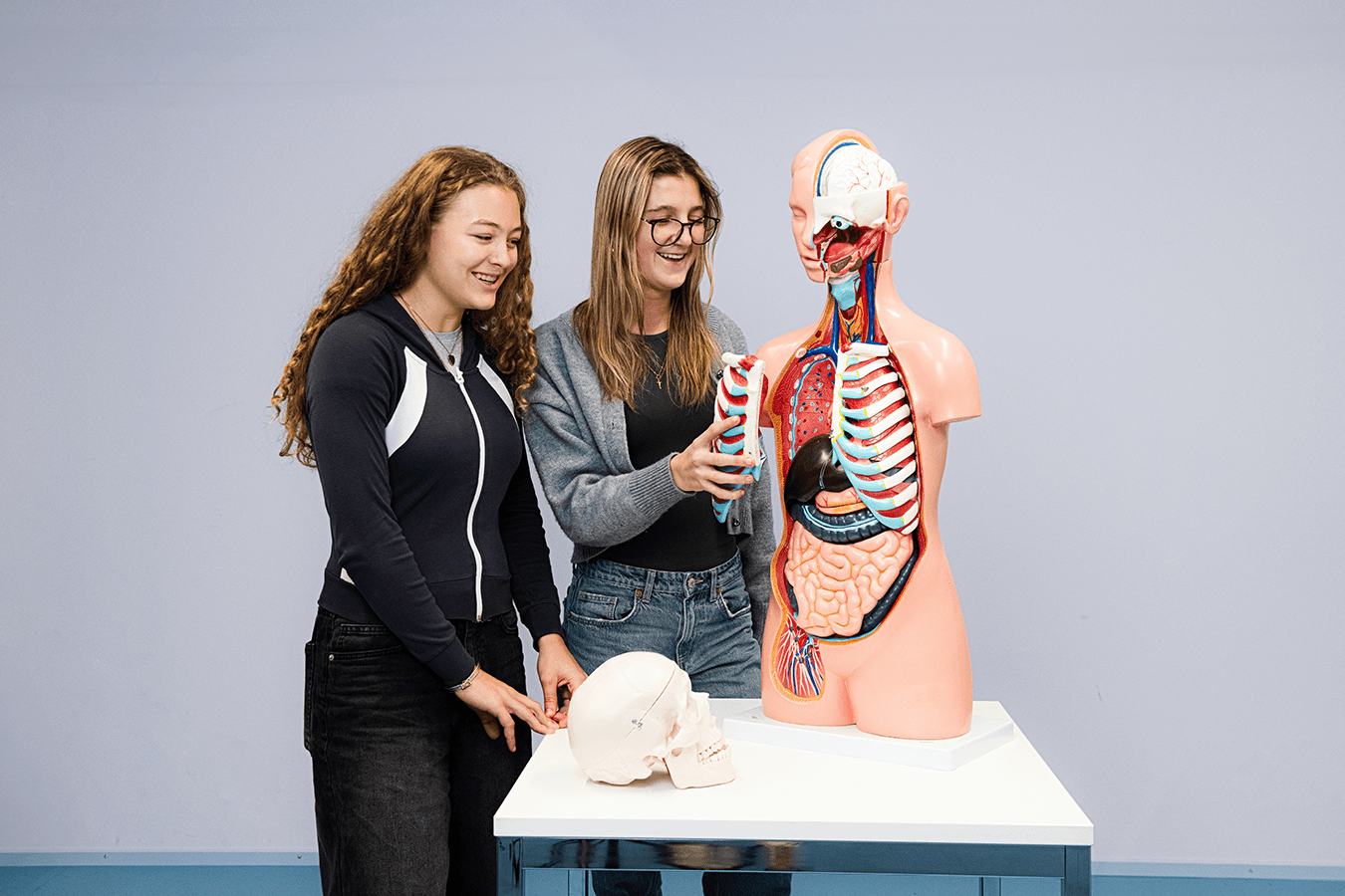 Zwei Auszubildende untersuchen gemeinsam ein anatomisches Modell